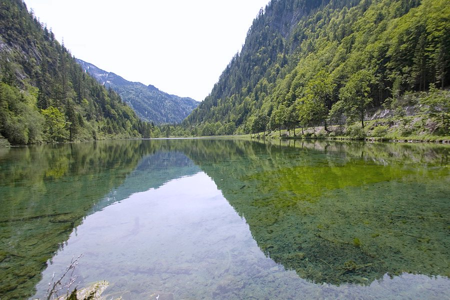 Förchensee im Landschaftsschutzgebiet südlich von Ruhpolding