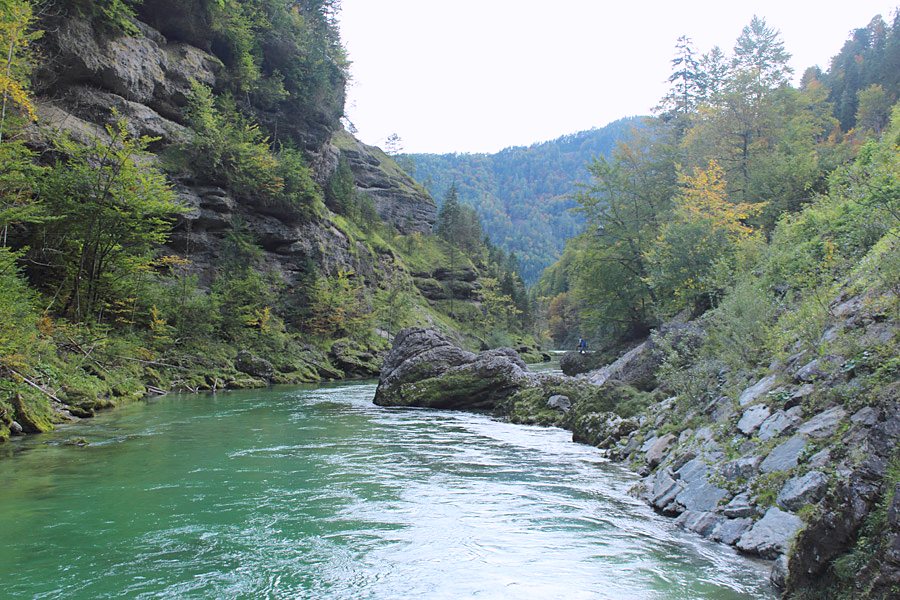 Steirische Salza, naturbelassen und ohne Verbauung