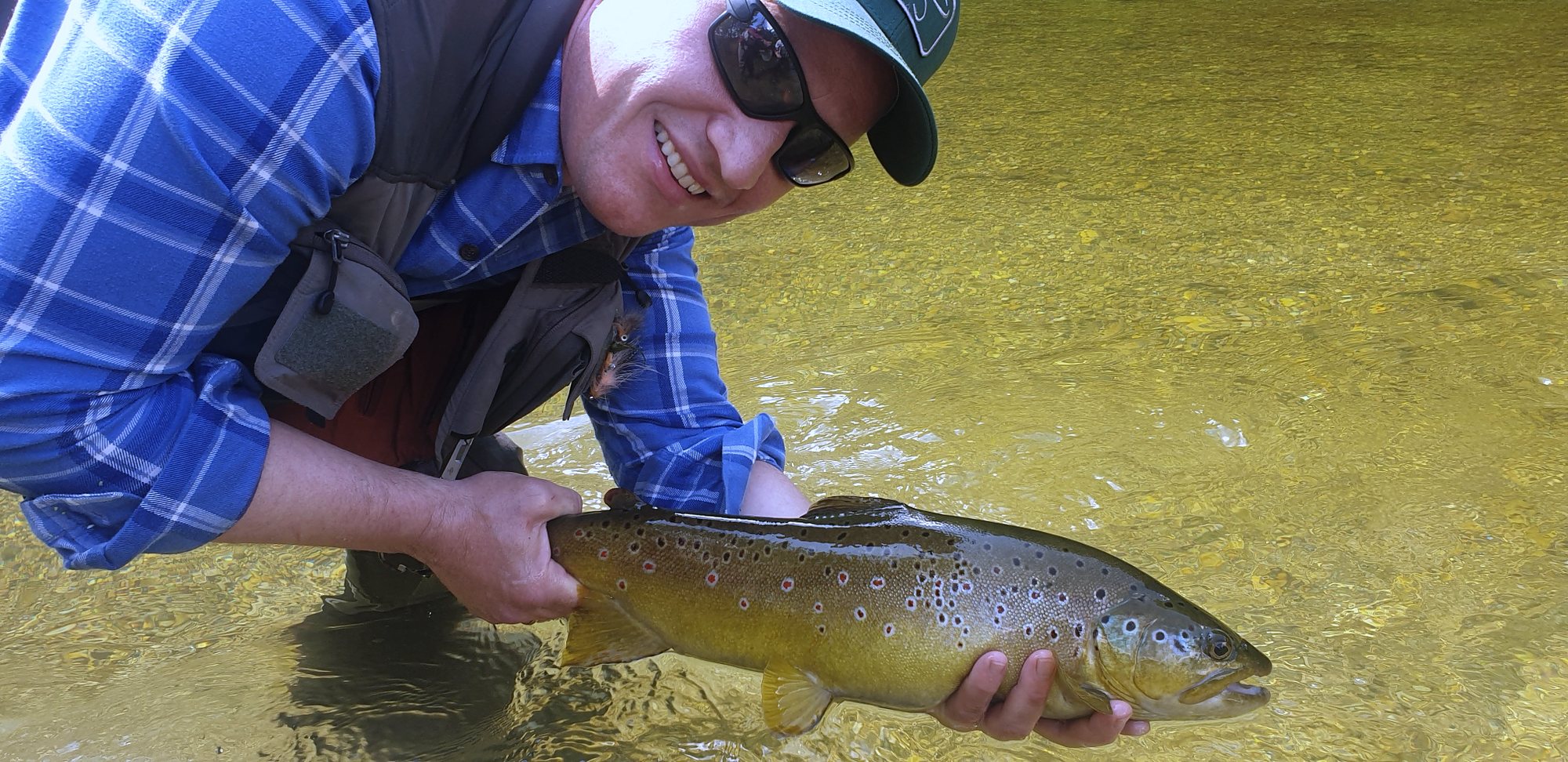 Bachforelle aus der bayerischen Traun in der Hand des Fischers, Juni 2021