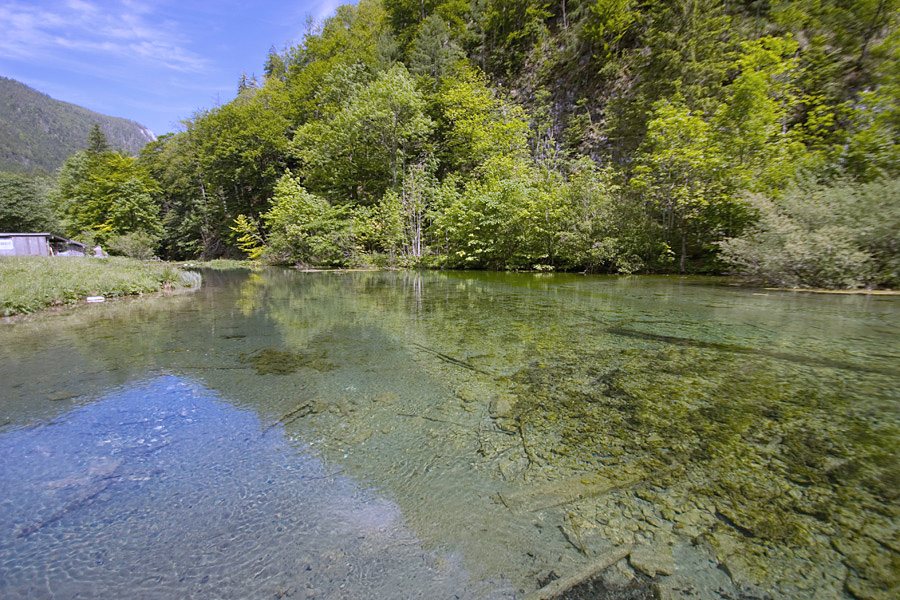 Förchensee bei Ruhpolding, klares Quellwasser