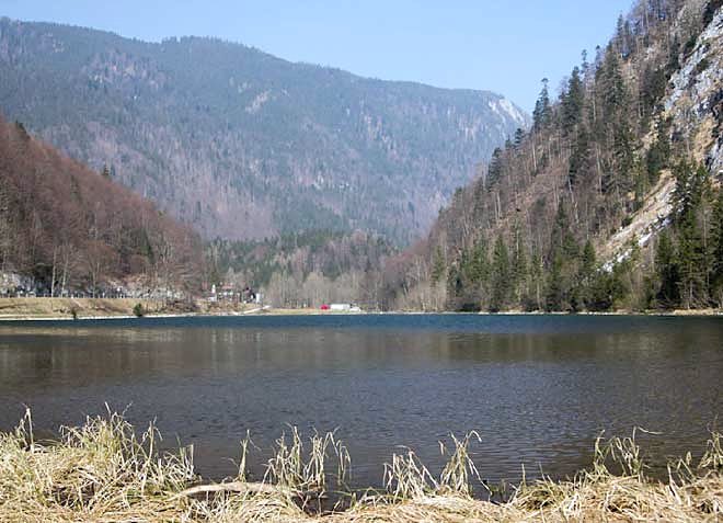 Förchensee bei niedrigem Wasserstand, Blick Richtung Norden